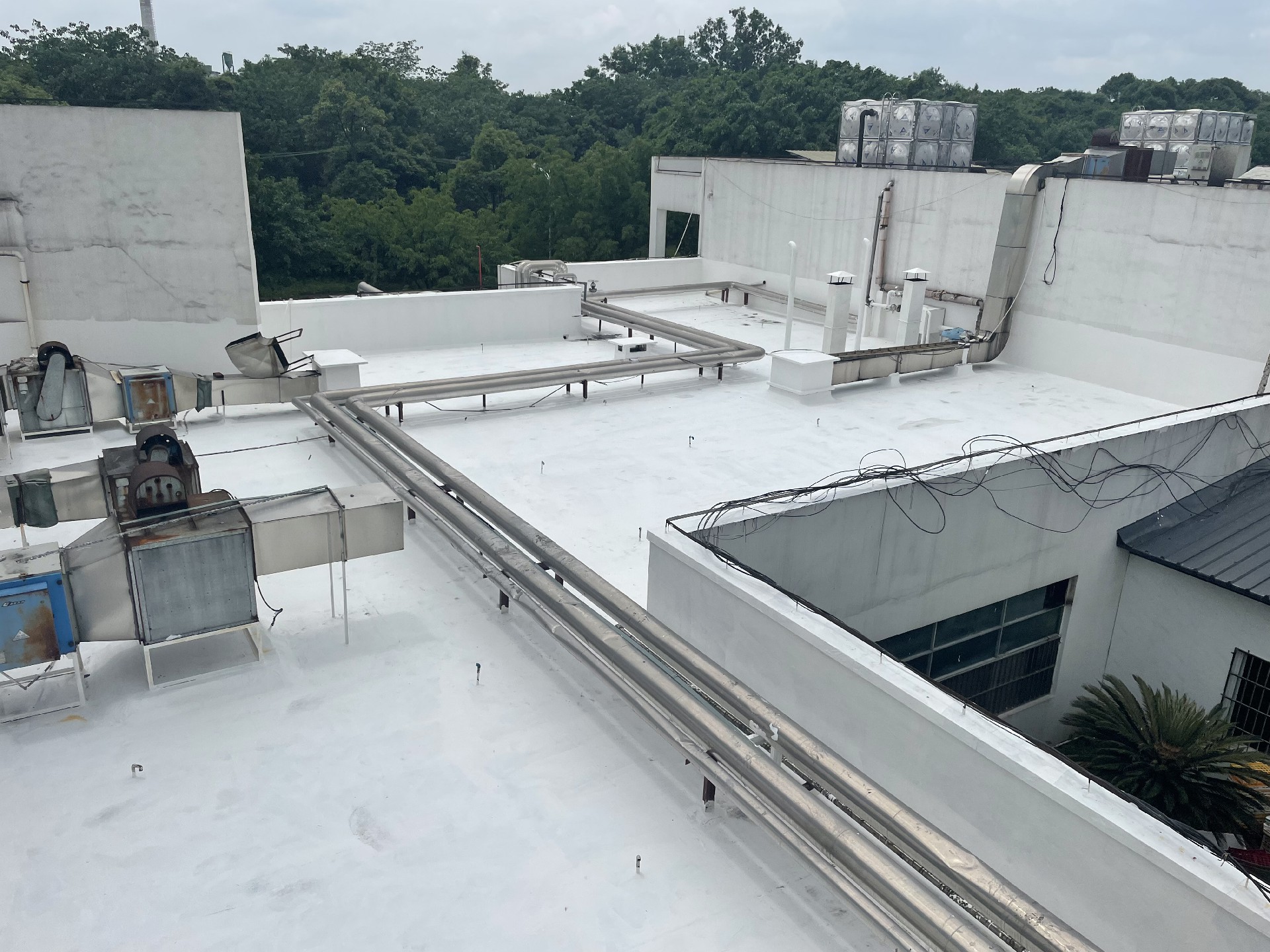 1654312326848128.jpg 1654312326848128.jpg